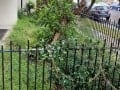 Charterhall workerbee Stanmore 2021 Charterhall workerbee Stanmore 2021