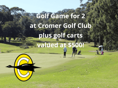 Golf Game including 2 carts value $500